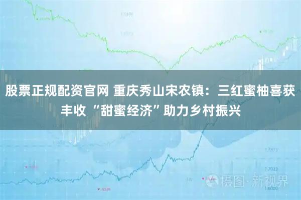 股票正规配资官网 重庆秀山宋农镇:三红蜜柚喜获丰收 “甜蜜经济”助力乡村振兴