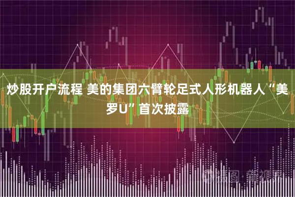 炒股开户流程 美的集团六臂轮足式人形机器人“美罗U”首次披露