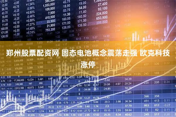 郑州股票配资网 固态电池概念震荡走强 欧克科技涨停